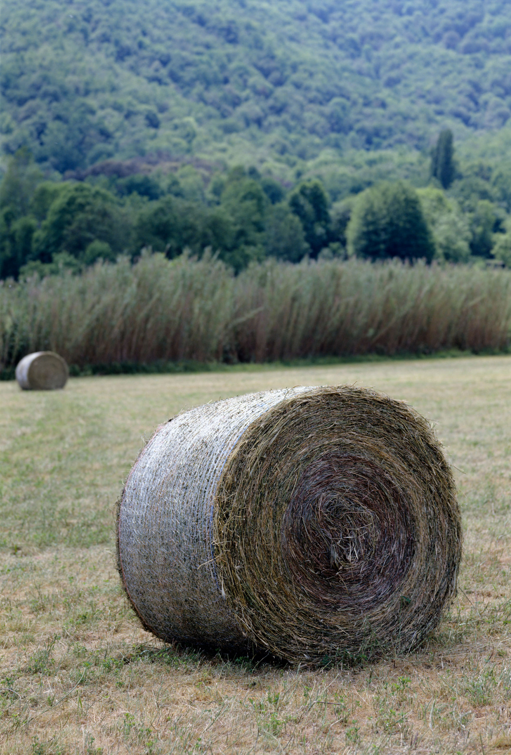 hl06014 · hl en france